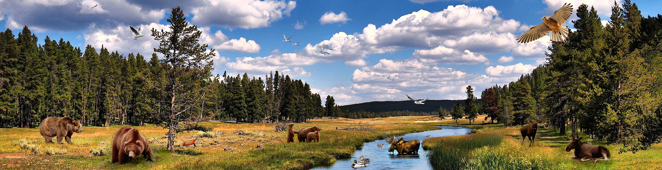 поназырево.рф